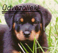 Gyenes Kristf honlapja